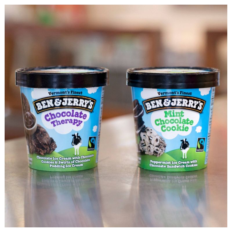 Ben & Jerry's Mint Chocolate Cookie Ice Cream - 16oz