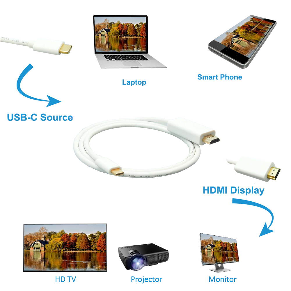 Fuji Labs USB Type C to HDMI Male Cable
