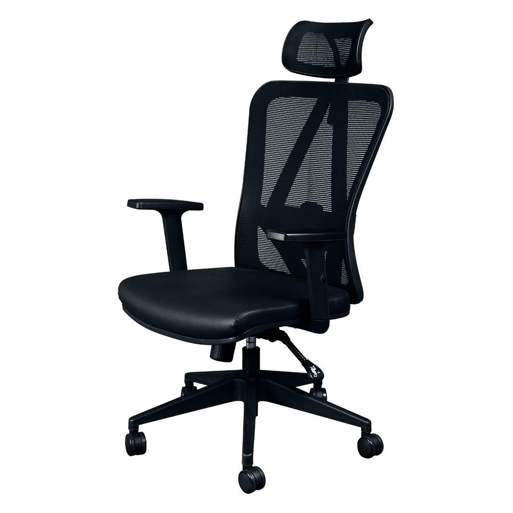 Titan ERGO TI-9606P Ergonomic Mesh Rolling Desk Chair for Office and Gaming (Black)