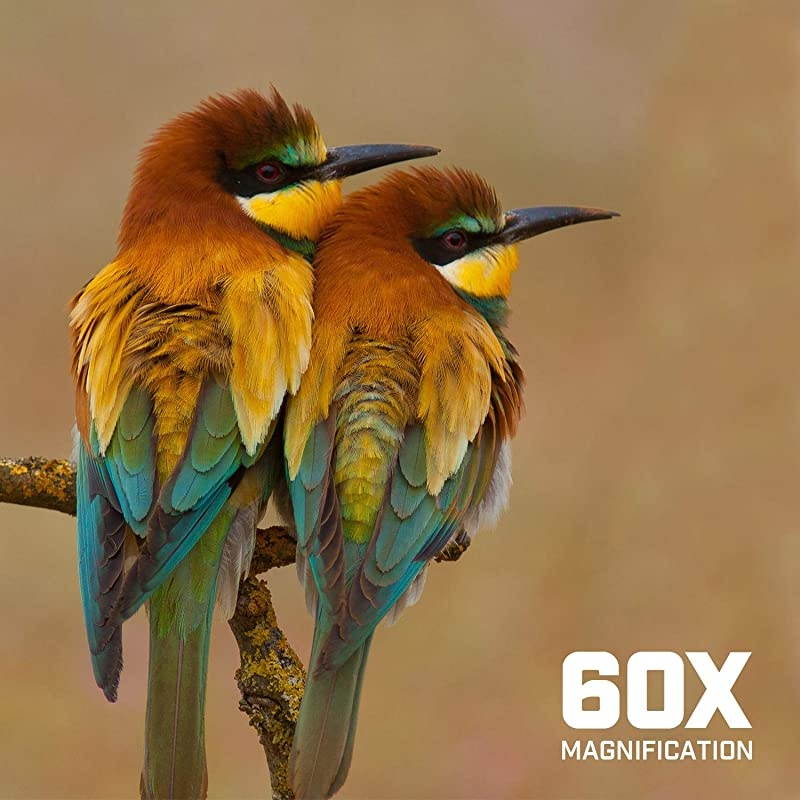 Spotting Scope  Shooting wTripod 2060x60mm Multi Coated Optical Lens Waterproof 3619m1000m Telescope with Universal Smartphone Adapter AMSS60G