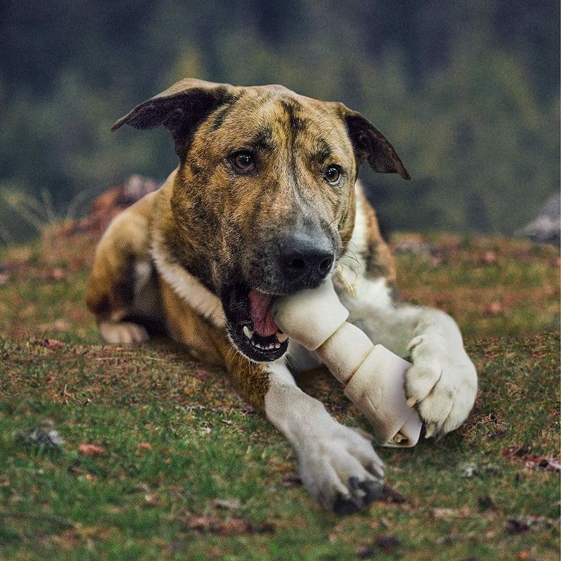 Cadet 6-7 Inch Knotted Rawhide Bones, 4 Count