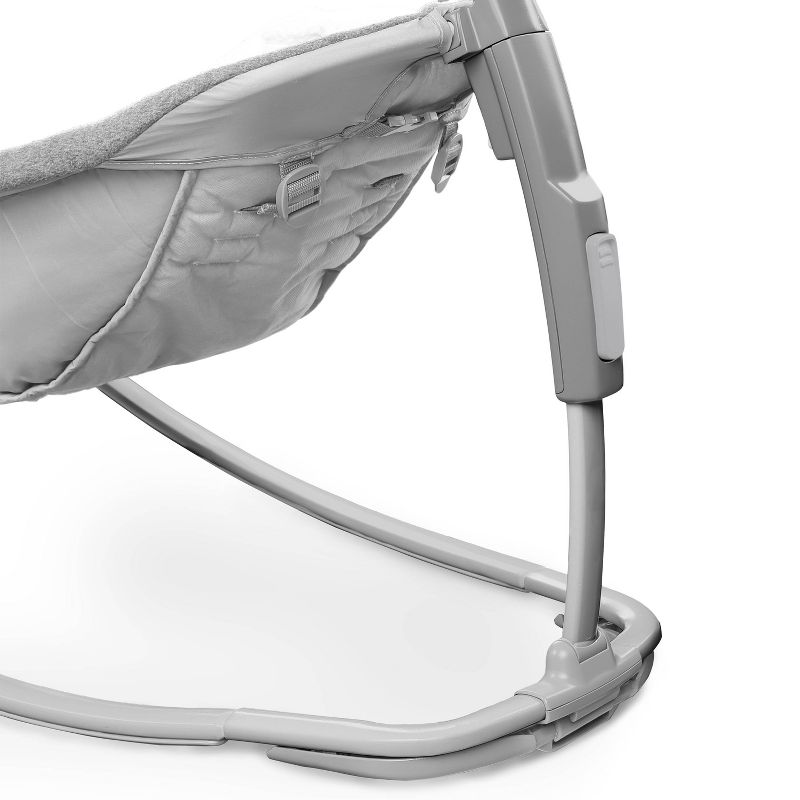 ​Fisher-Price Baby Bouncer