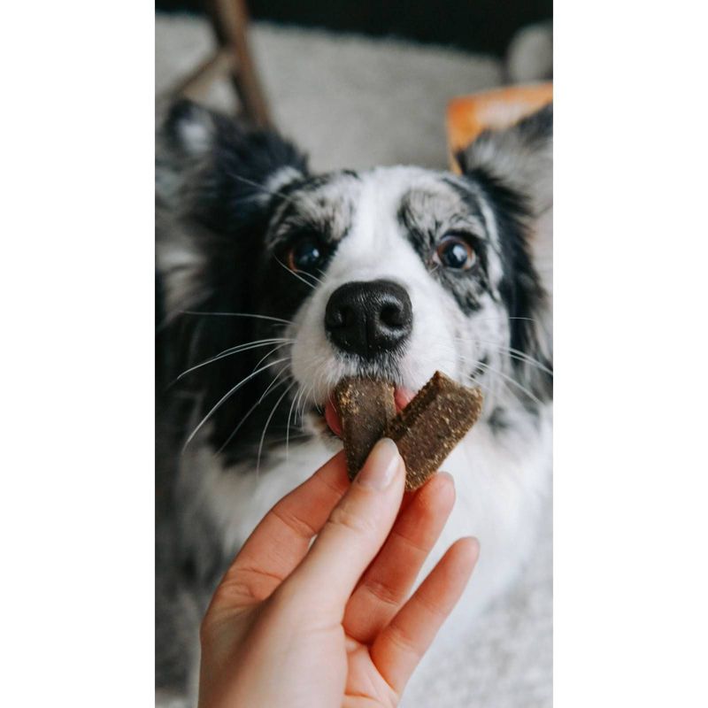 Fruitables pbn'joy Peanut Butter & Banana Natural Protein Packed Dog Treats - 6oz