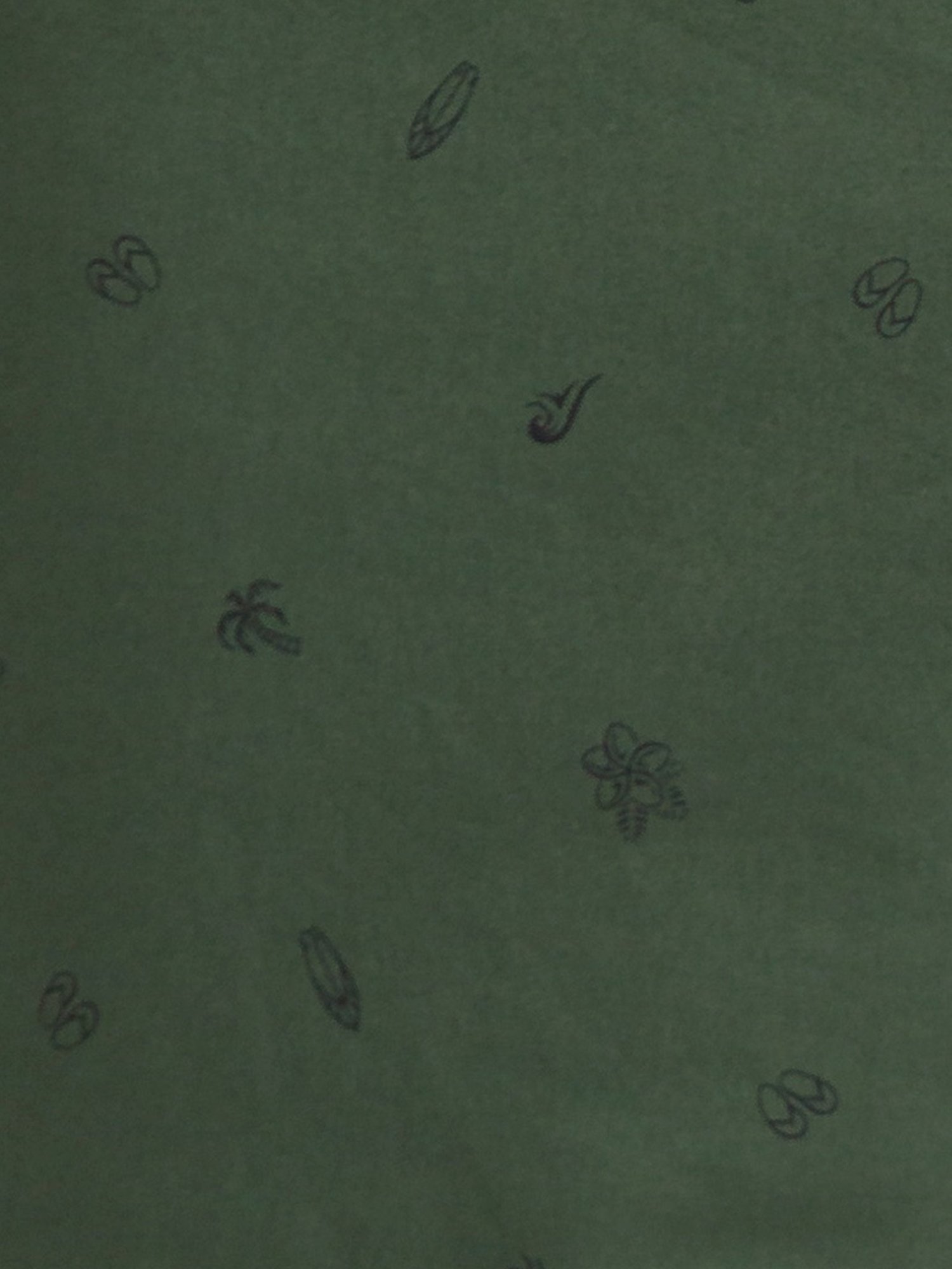 ColorPlus Green Contemporary Fit Printed Shorts