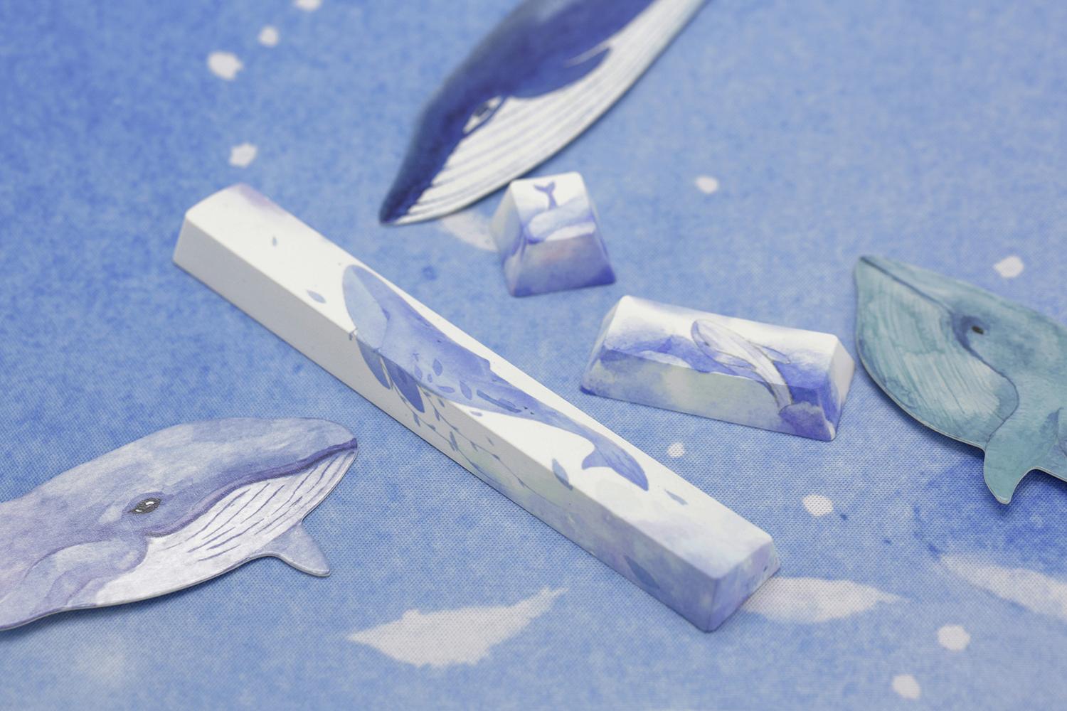 2, 60% Wired/Wireless Mechanical Keyboard (Kailh Box Brown Switch/White Case) - Full Keys Programmable - True RGB Backlit - Tap Arrow Keys - Double Shot PBT Keycaps - NKRO - 1900mAh Battery