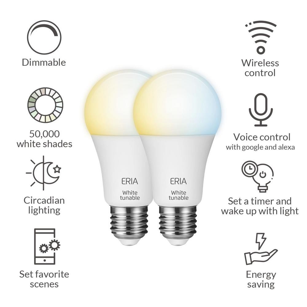Smart Light Bulbs, Alexa Light Bulb, Smart Bulbs that Work with Alexa & Google Assistant, WiFi Light Bulbs A19 Daylight (5000K) No Hub Required, 800LM 60W Equivalent High CRI>90, 2 Pack