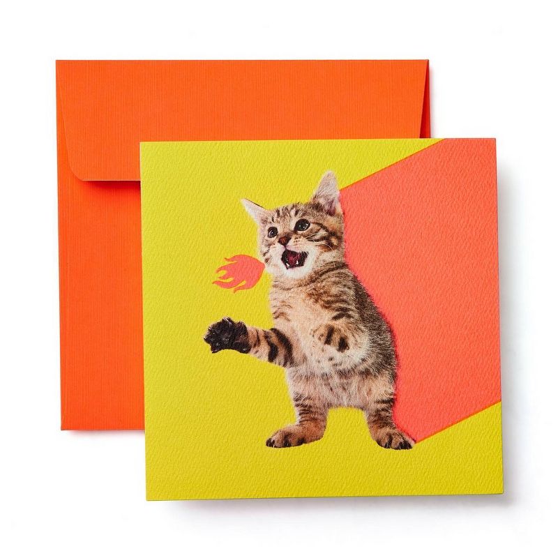 Kitten Blank Card
