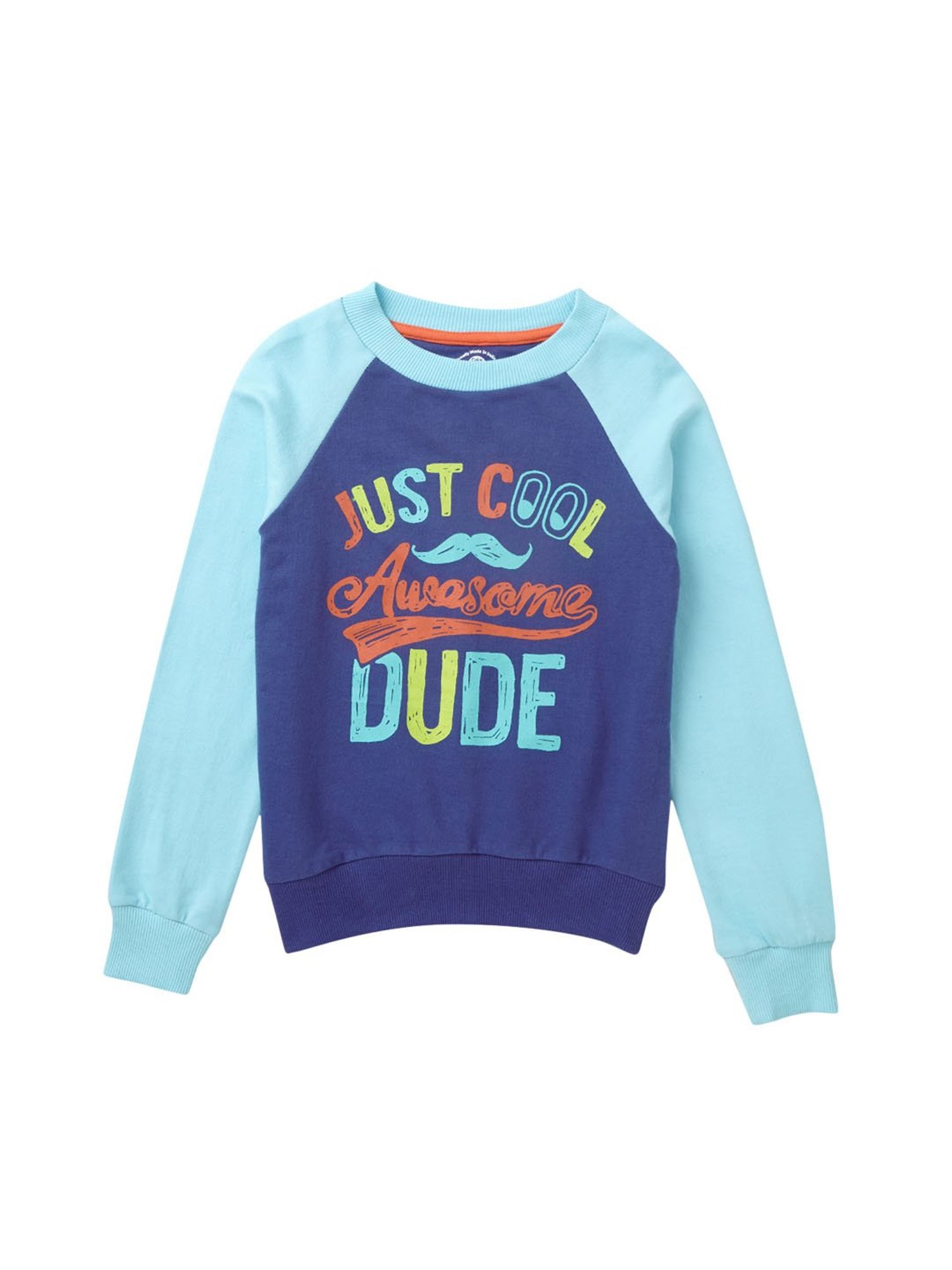 Cub McPaws Kids Blue Graphic Print Sweatshirt