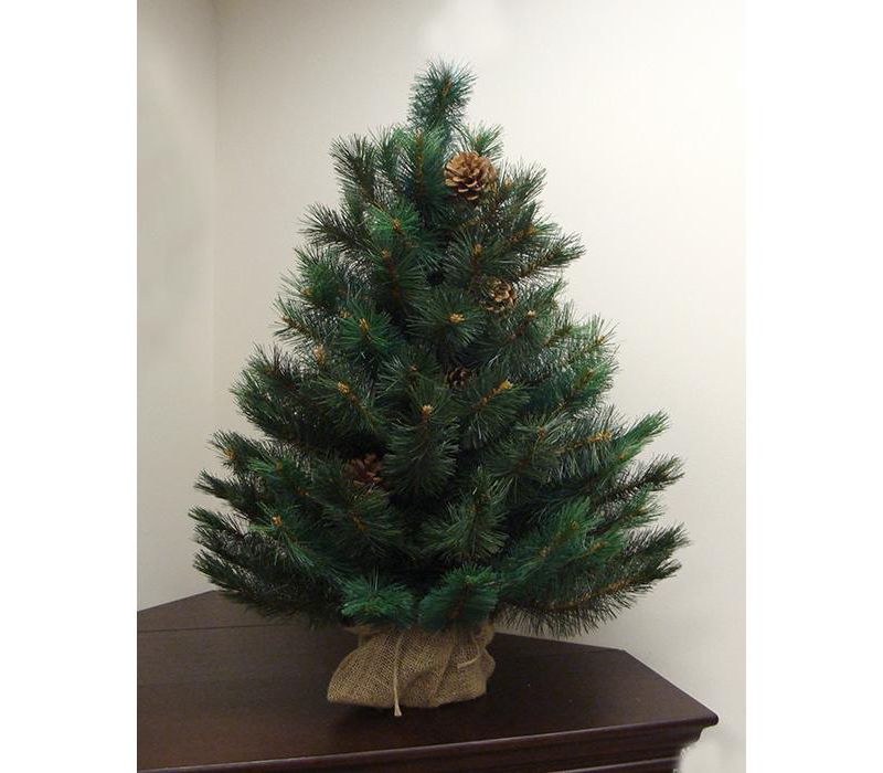Darice 3' Unlit Artificial Christmas Tree Medium Potted Royal Oregon Long Needle Pine