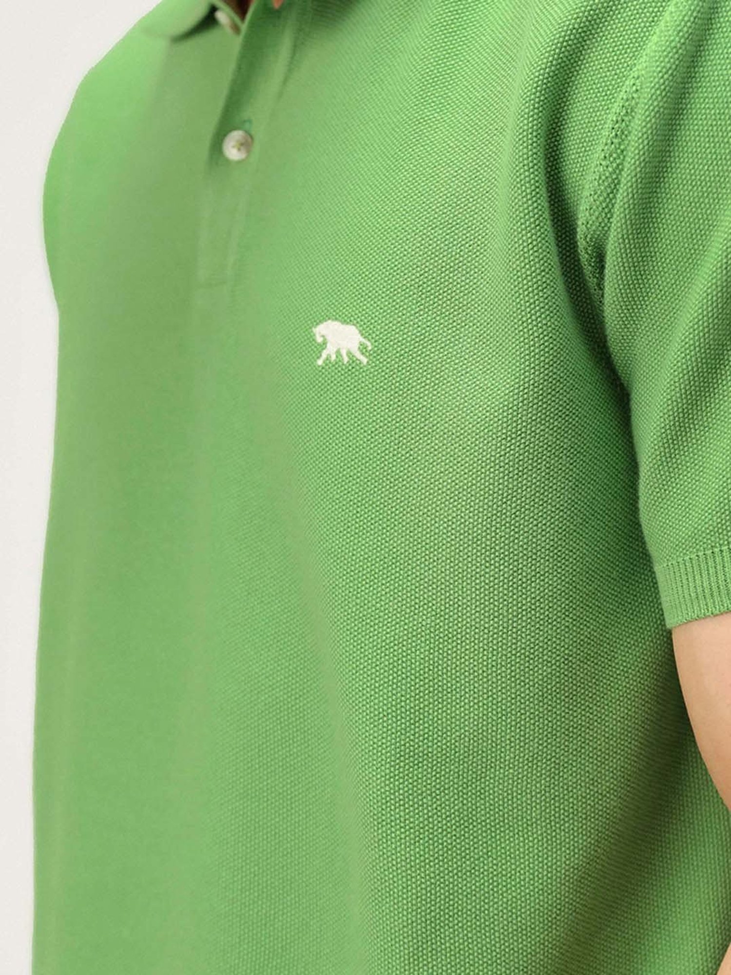 ANDAMEN Green Regular Fit Textured Polo T-Shirt