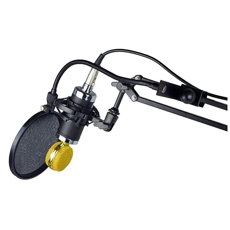 MPF-6 6-Inch Clamp On Microphone Pop Filter with Flexible Gooseneck and Metal Stabilizing Arm