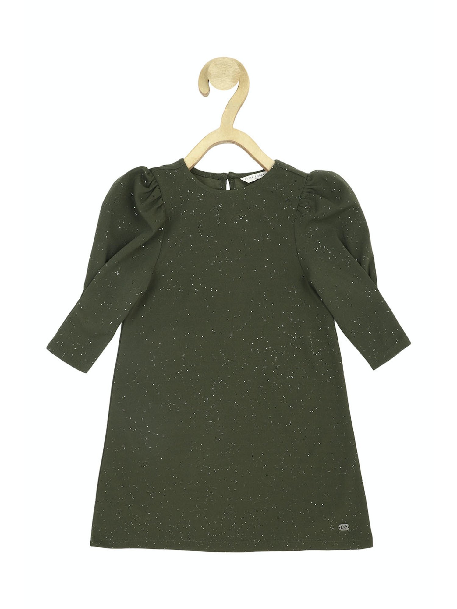 Peter England Kids Olive Shimmer Full Sleeves Dress