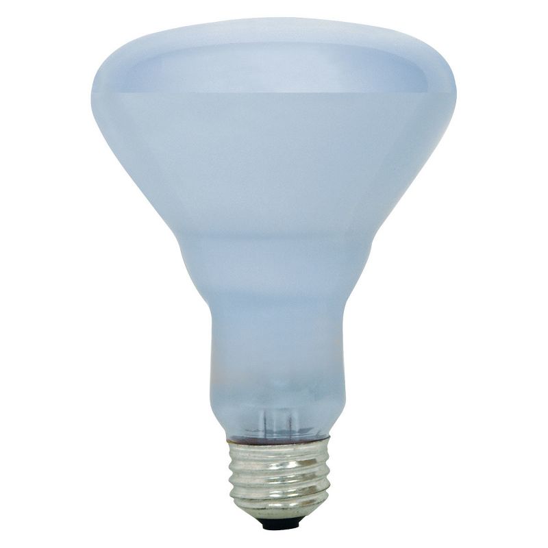 General Electric 65w 2pk R30 Reveal Incandescent Light Bulb