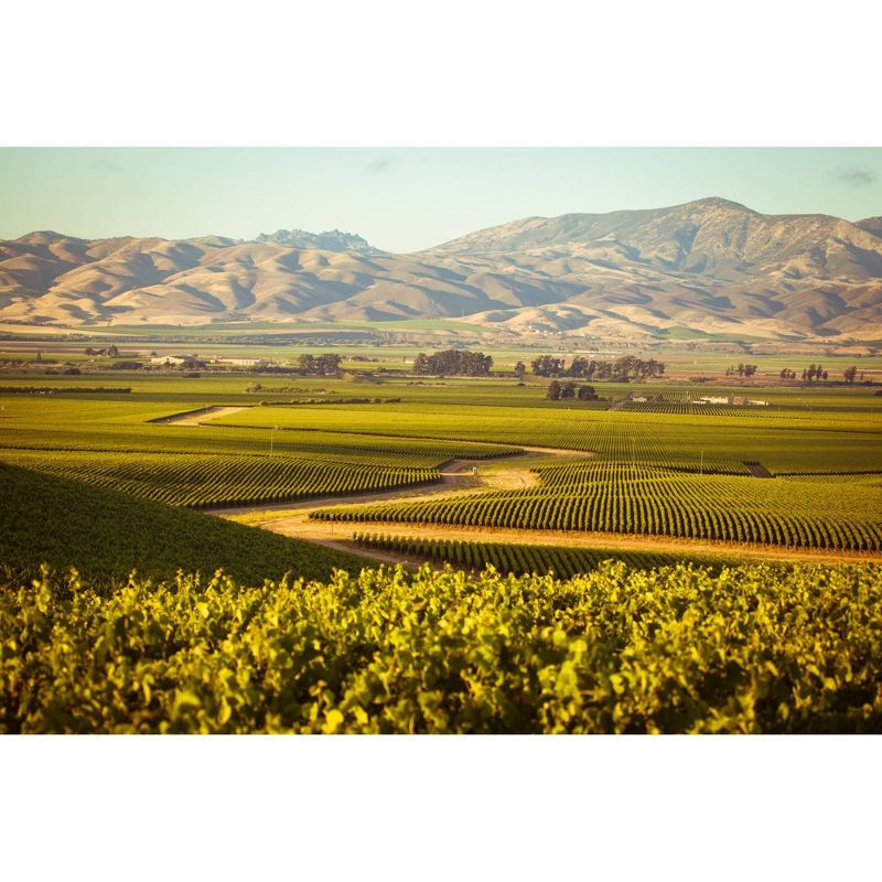 La Crema Williamette Valley Pinot Noir Red Wine - 750ml Bottle