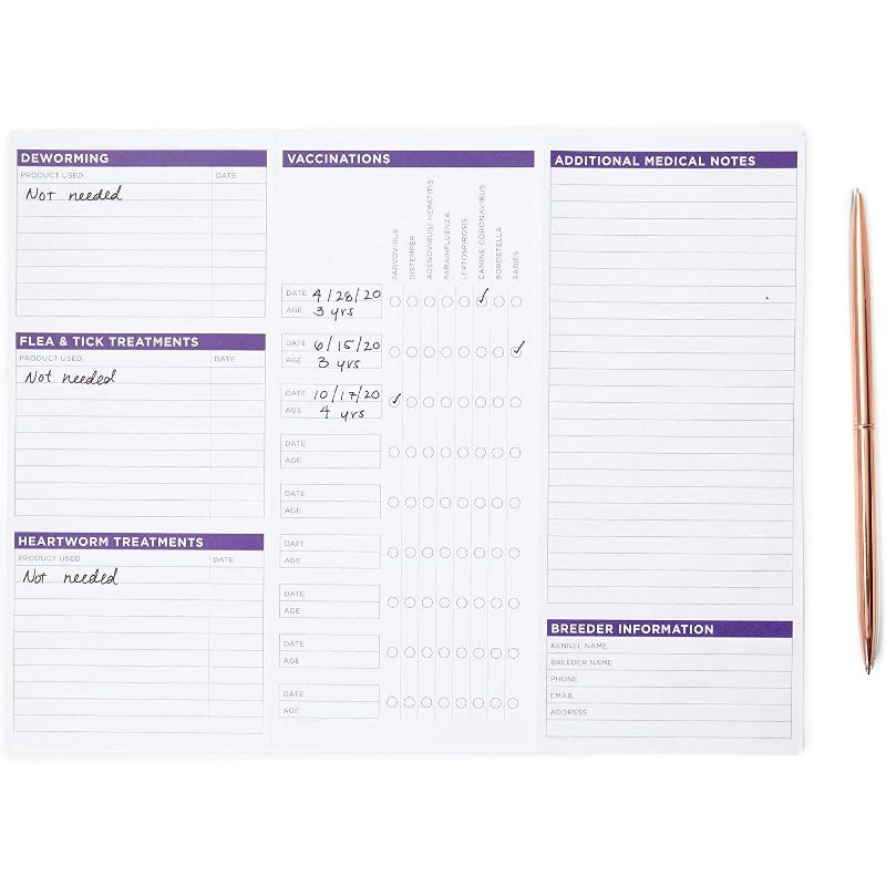 Sustainable Greetings 50 Sheets Black Stationary Paper for Arts Crafts, A4 Letter Size 8.5 x 11 in