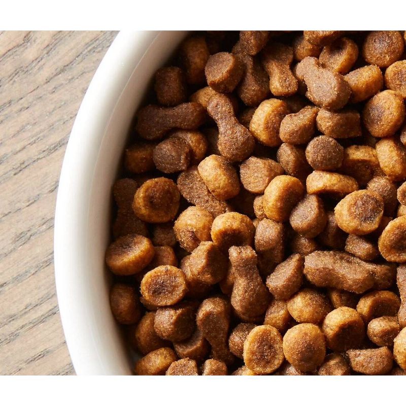 Rachael Ray Nutrish Yummy Chicken and Veggies Recipe Dry Cat Food - 5lbs