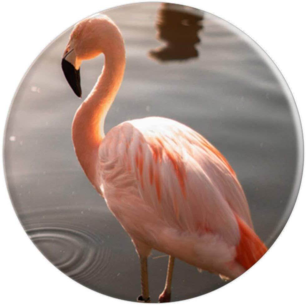 Pink Flamingo PopSockets Grip and Stand for Phones and Tablets