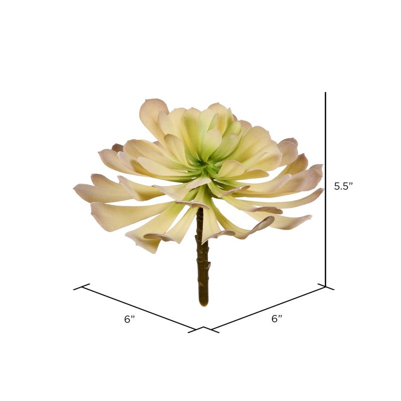 Vickerman 9" Succulent, Paper Pot.