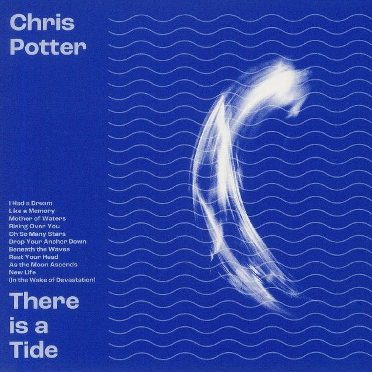 Chris Potter There Is A Tide LP (Vinyl)