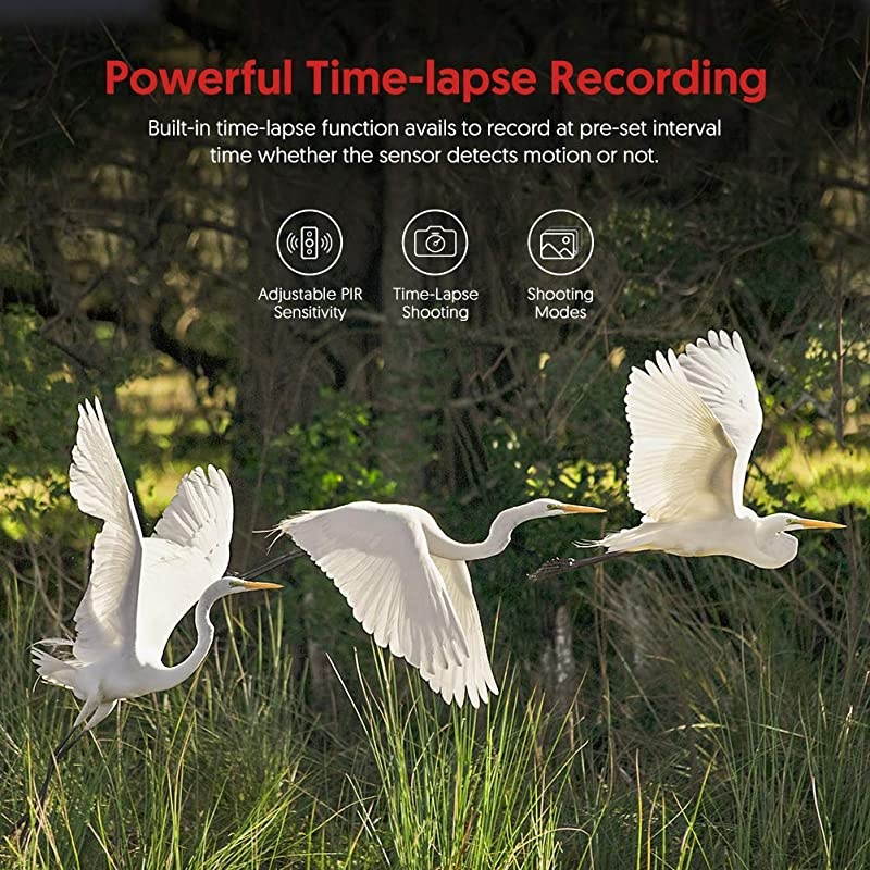 Trail Game Camera 20MP with Night Vision Motion Activated Waterproof and 130&deg; Detection Hunting Camera Trap 1080P IP66 for Outdoor Wildlife Monitoring