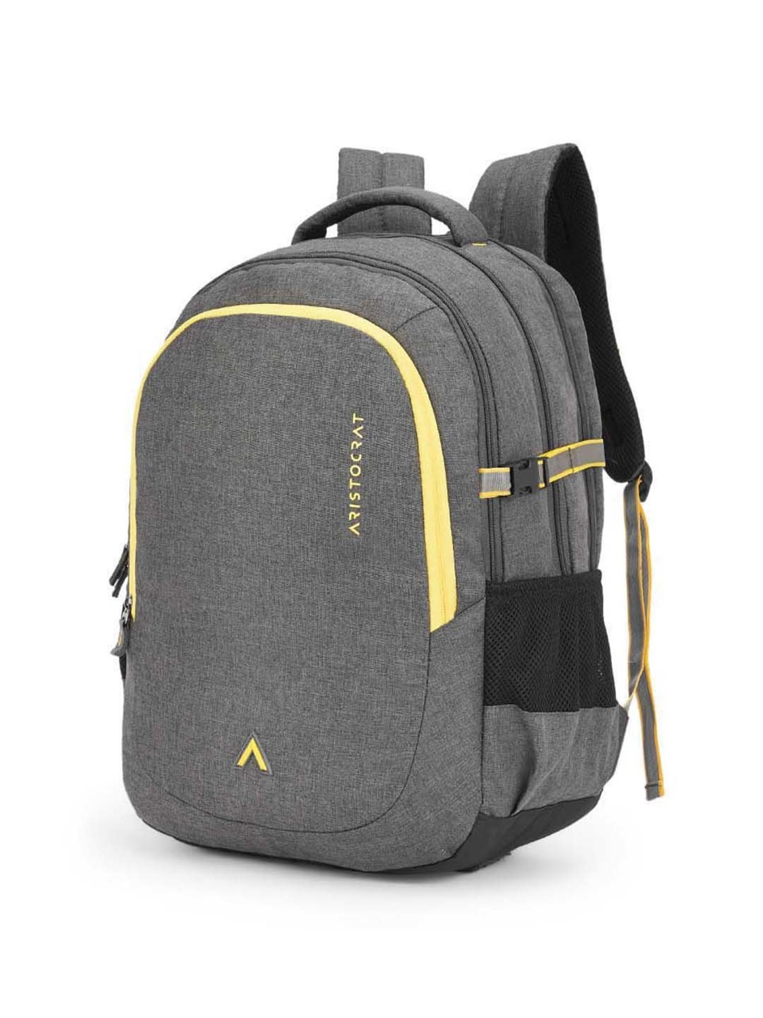 Aristocrat 32 Ltrs Grey Medium Backpack