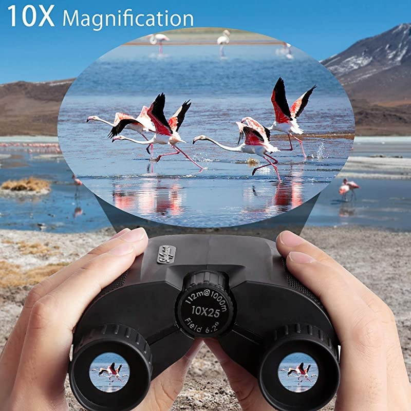 10x25 Compact Binoculars for Adults High Powered Binoculars Pocket for Concerts Theater Travel BK4 Roof Prism FMC Lens Kid Binoculars for Bird Watching 053lb