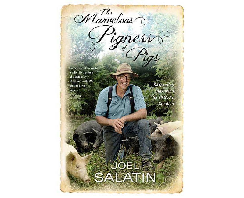 Religion and Myth in the Marvel Cinematic Universe - by  Michael D Nichols (Paperback)