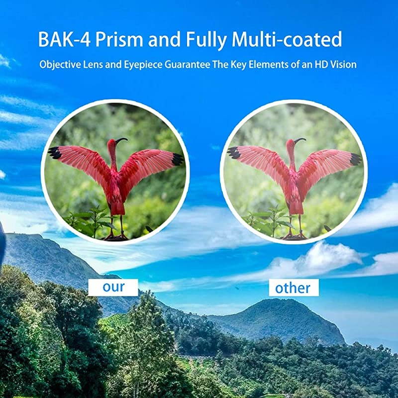 Professional Binoculars for Bird Watching with Clear Weak Light Night VisionEasy to Focus Compact Adults Binoculars for Birding Hunting and Travel with Phone Adapter and Bag