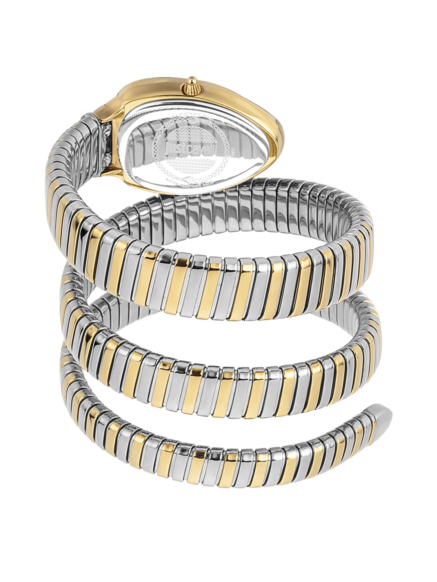 JUST CAVALLI JC1L209M0065 Analog Watch for Women