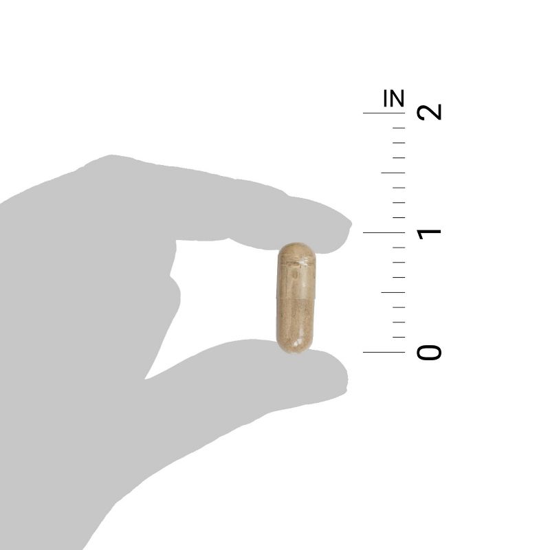 Ancient Nutrition KetoFIRE Weight Loss Supplement Capsules - 180ct