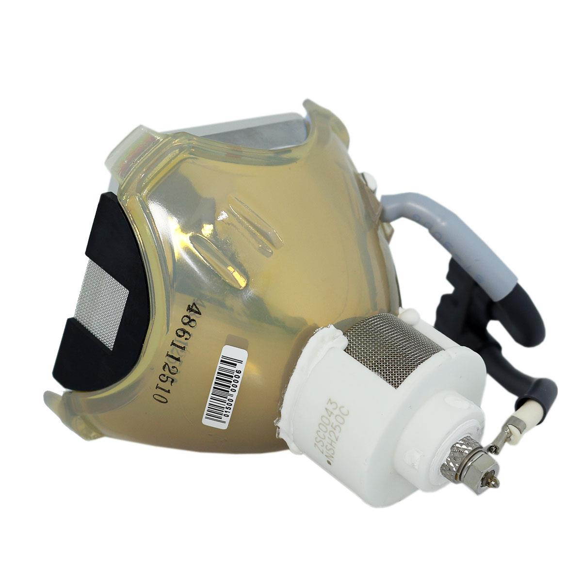 Original Ushio Projector Lamp Replacement for Liesegang DV-400 (Bulb Only)