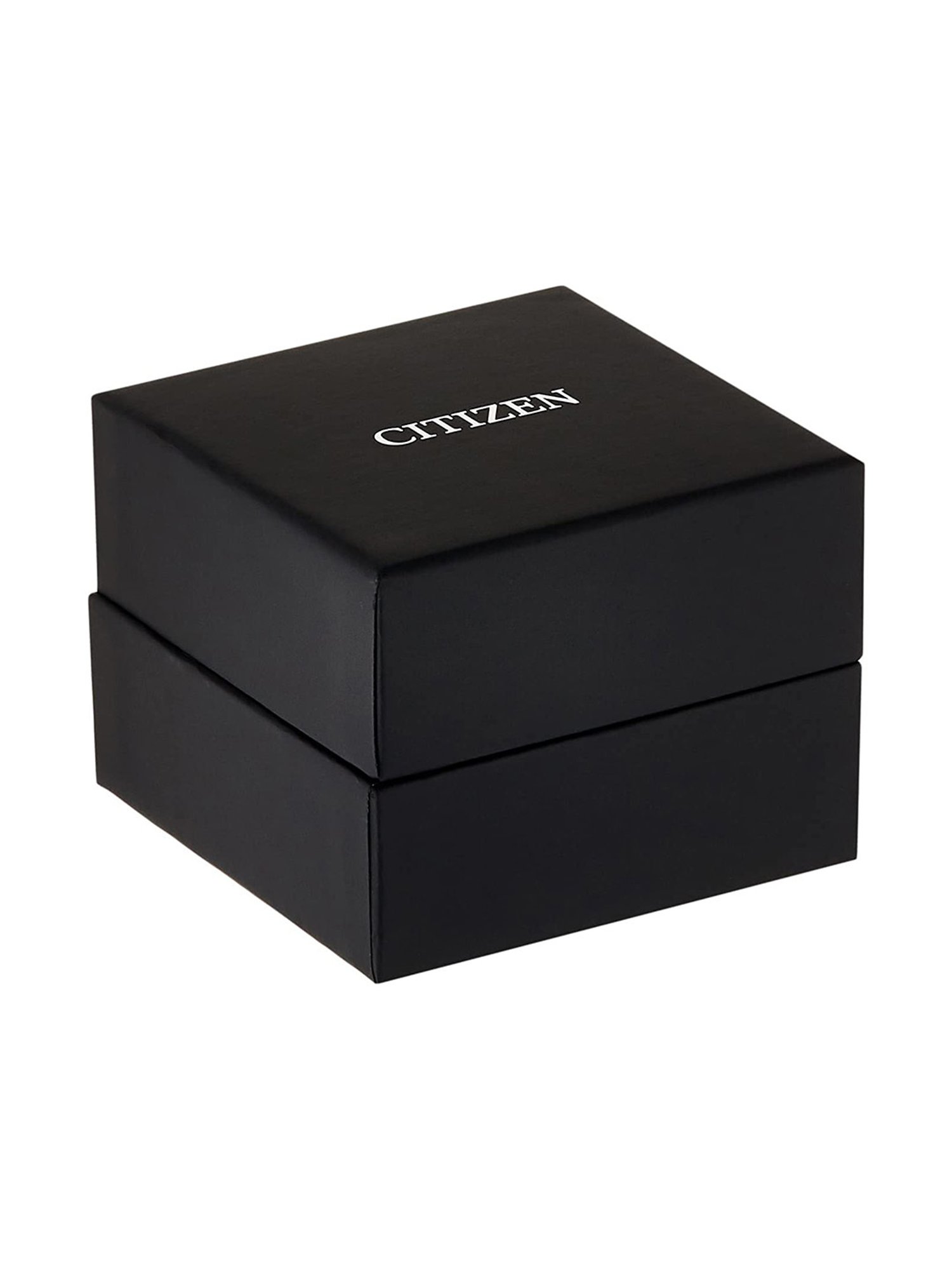 Citizen CTAN8169-58L-A Analog Watch for Men