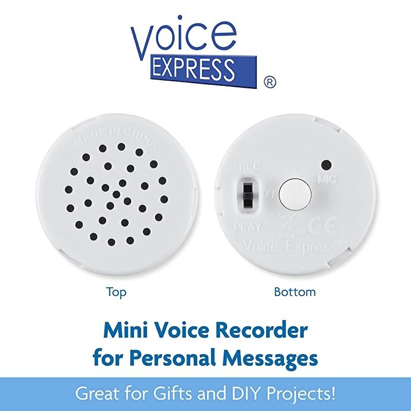 Mini Recorder for Personal Messages Perfect Device for Plush Toys Stuffed Animals Baby Dolls and Pillows Playback 2 Pack