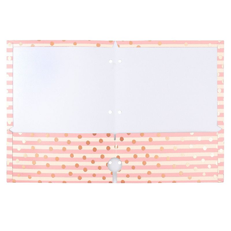 Portfolio 2 Pocket Pastel Stripe Pink - greenroom