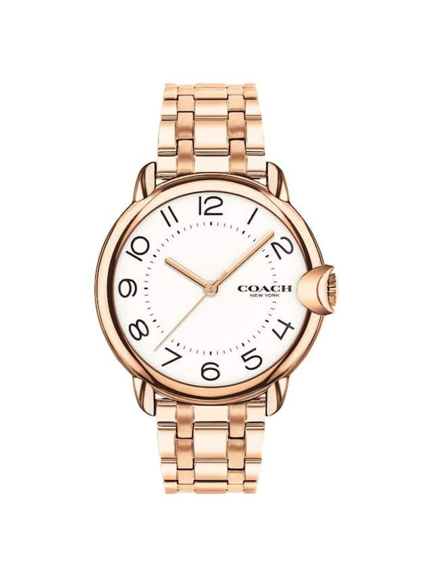 Coach CO14503598W Analog Watch for Women