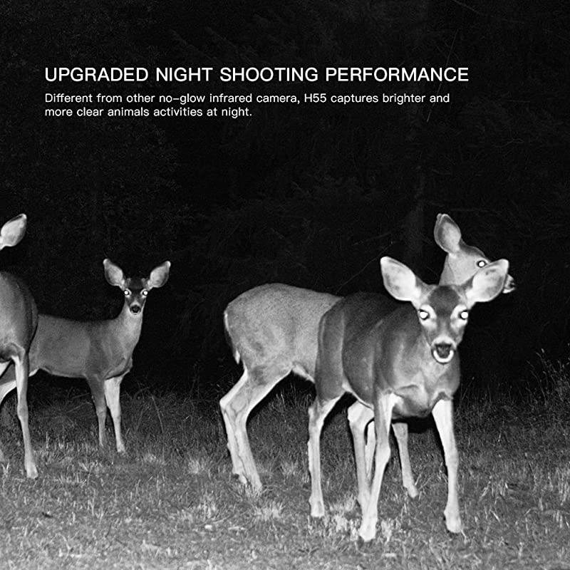 Trail Camera 20MP 1080P Wildlife Camera, Night Detection Game Camera with No Glow 940nm IR LEDs, Time Lapse, Timer, IP66 Waterproof Design