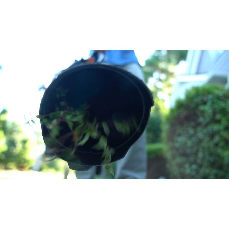 Blue Ridge 12.0A Blower/Vac