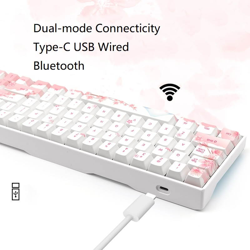 RK71 Mechanical Keyboard RGB Backlit 71 Keys Small Compact Gaming Keyboard, PBT Keycaps Wired/Wireless Bluetooth Mini Keyboard for iOS Android Windows PC and MacOS, Blue Switch( Cherry Blossom)
