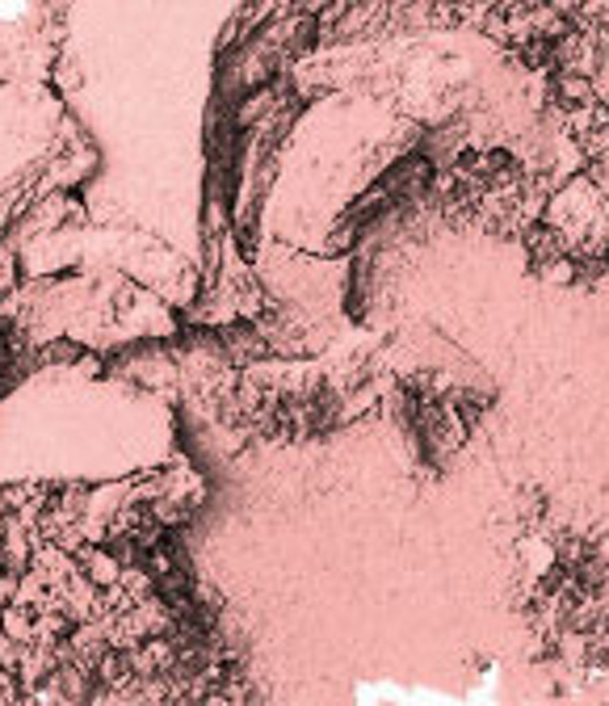 Bobbi Brown Pot Rouge for Lips & Cheeks