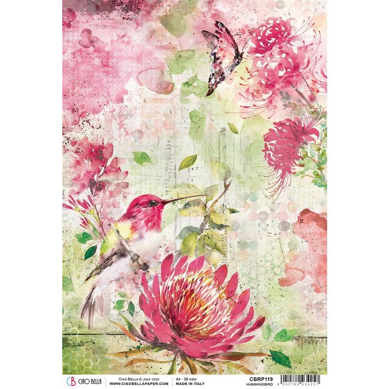 Ciao Bella Rice Paper Sheet A4 5/Pkg-Hummingbird, Microcosmos