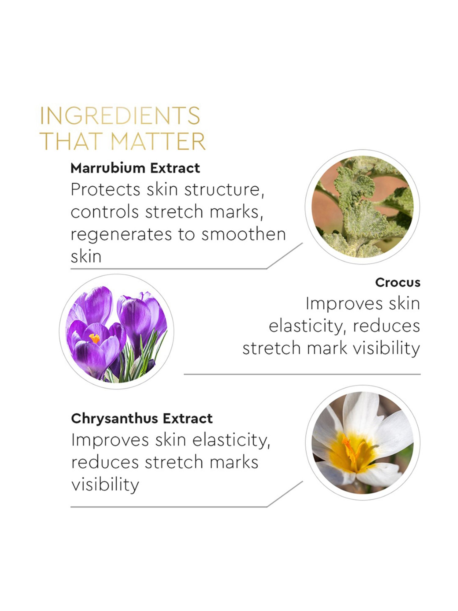 Mom & World Skin Bio Therapy Oil For Stretch Marks - 200 ml