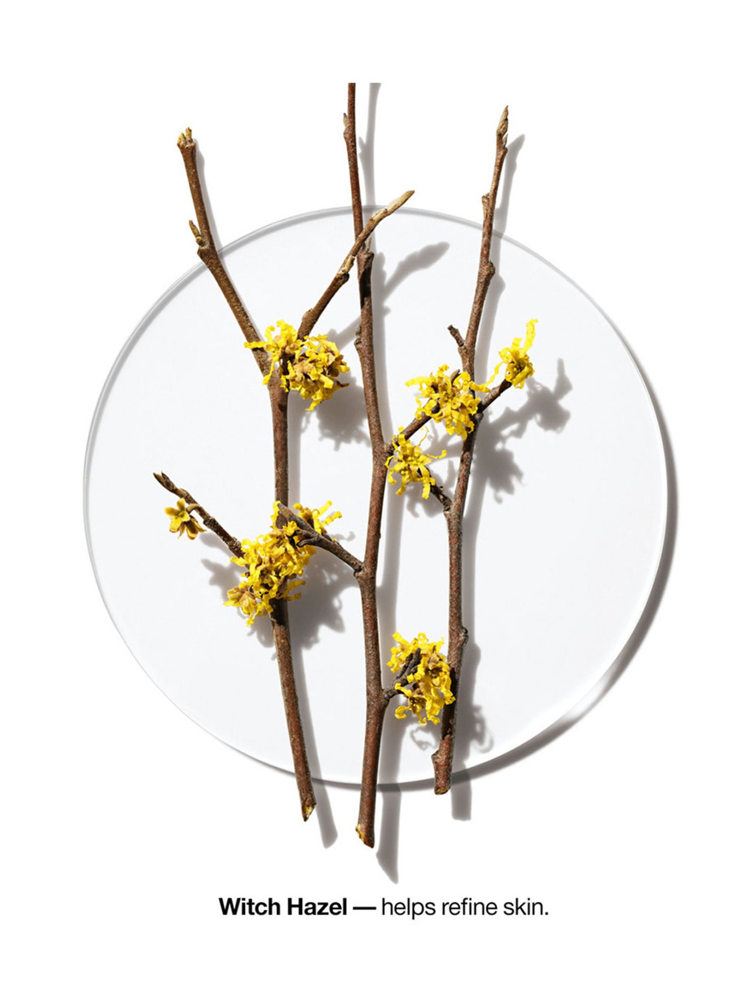 Deconstruct Brightening Serum with 10% Niacinamide & 0.3% Alpha Arbutin - 30 ml