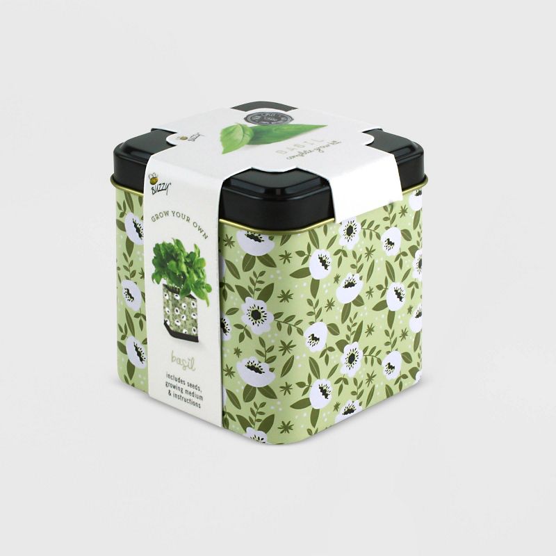 Buzzy Seeds 4ct Grow Kit Bundle with Macrame Kits