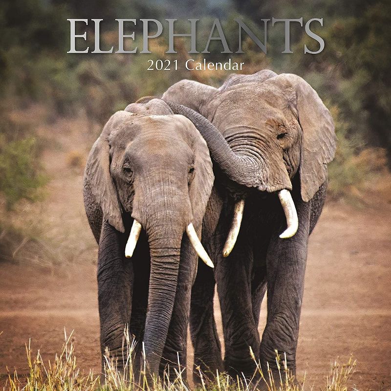 Sellers Publishing, 2021 Outlander 16-Month Wall Calendar