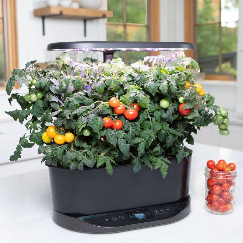 Bounty Planter Set Black - Aerogarden