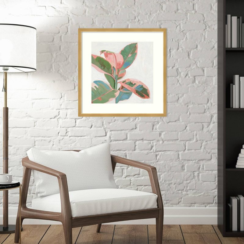 21" x 21" Ficus I by Asia Jensen Framed Wall Art Print Pink - Amanti Art