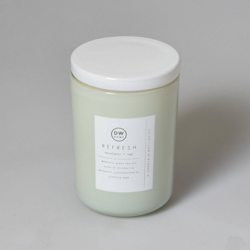 8oz Wellness Spa/Refresh Eucalyptus and Sage Candle - DW Home
