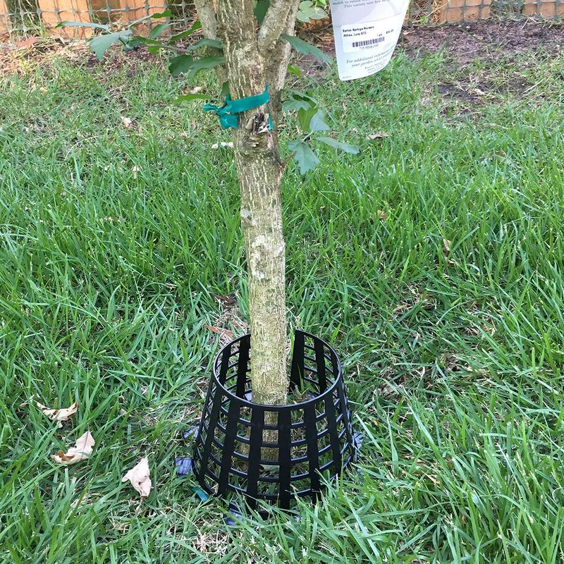 Plant Knight Tree Trunk Guard Protector with 6 Inch Plastic Expandable Wrap Fence Cage Ventilation and Clip for Garden Protection, 6 Pack (Orange)