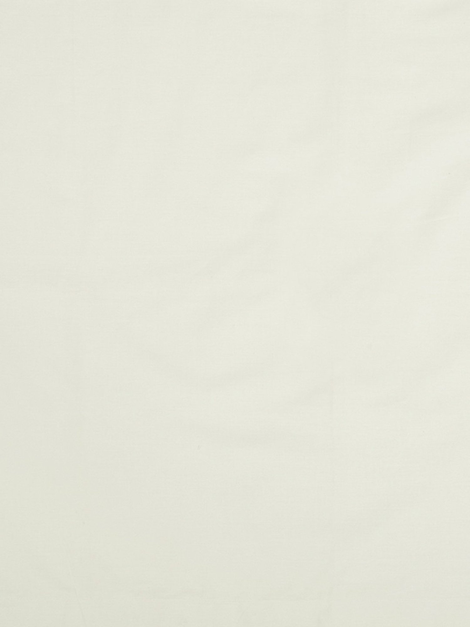 Petal Home Ivory 300 TC Cotton King Bed Sheet with 2 Pillow Covers