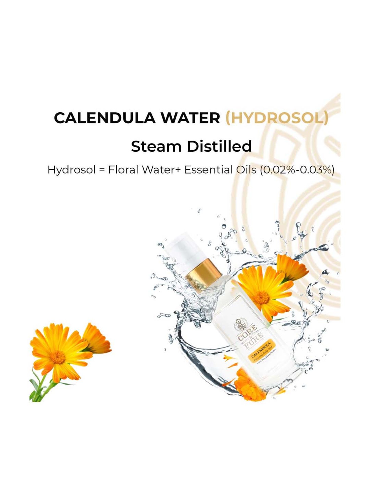 The Love Co. 100% Pure & Natural Rose Water - 100 ml